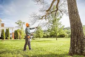 Reliable Pine Brook, NJ  Tree Services Solutions